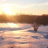 img_20170119_080222