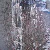 img_20170119_110334
